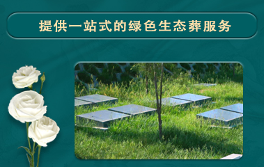 生態(tài)葬服務(wù) 生態(tài)葬服務(wù)